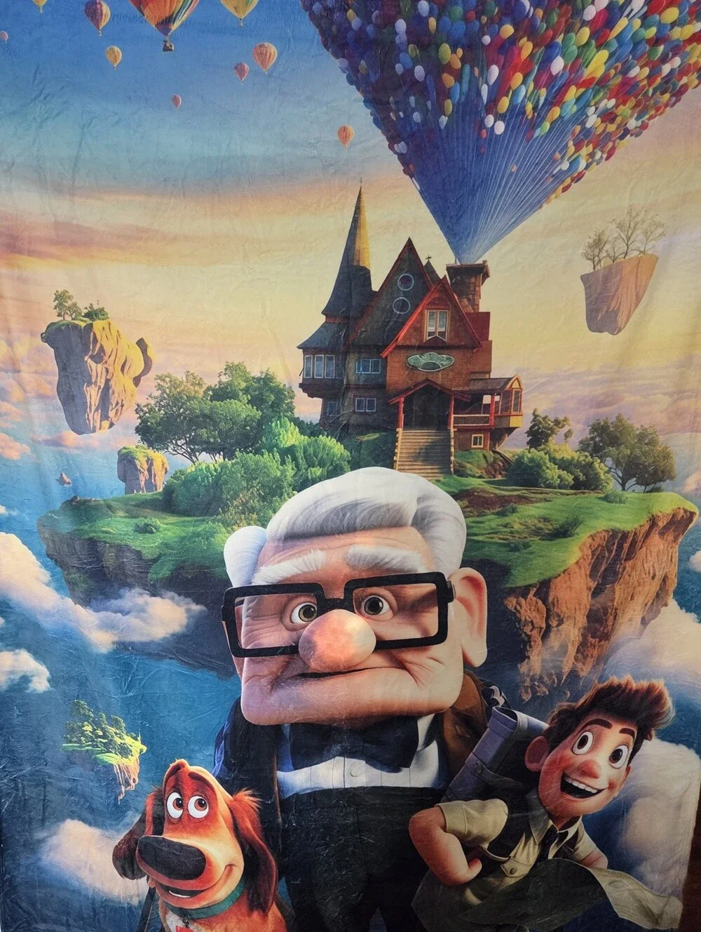 Animated Adventure Printed Disney Pixar 60x80 Throw Cuddle Blanket Vibrant Plush